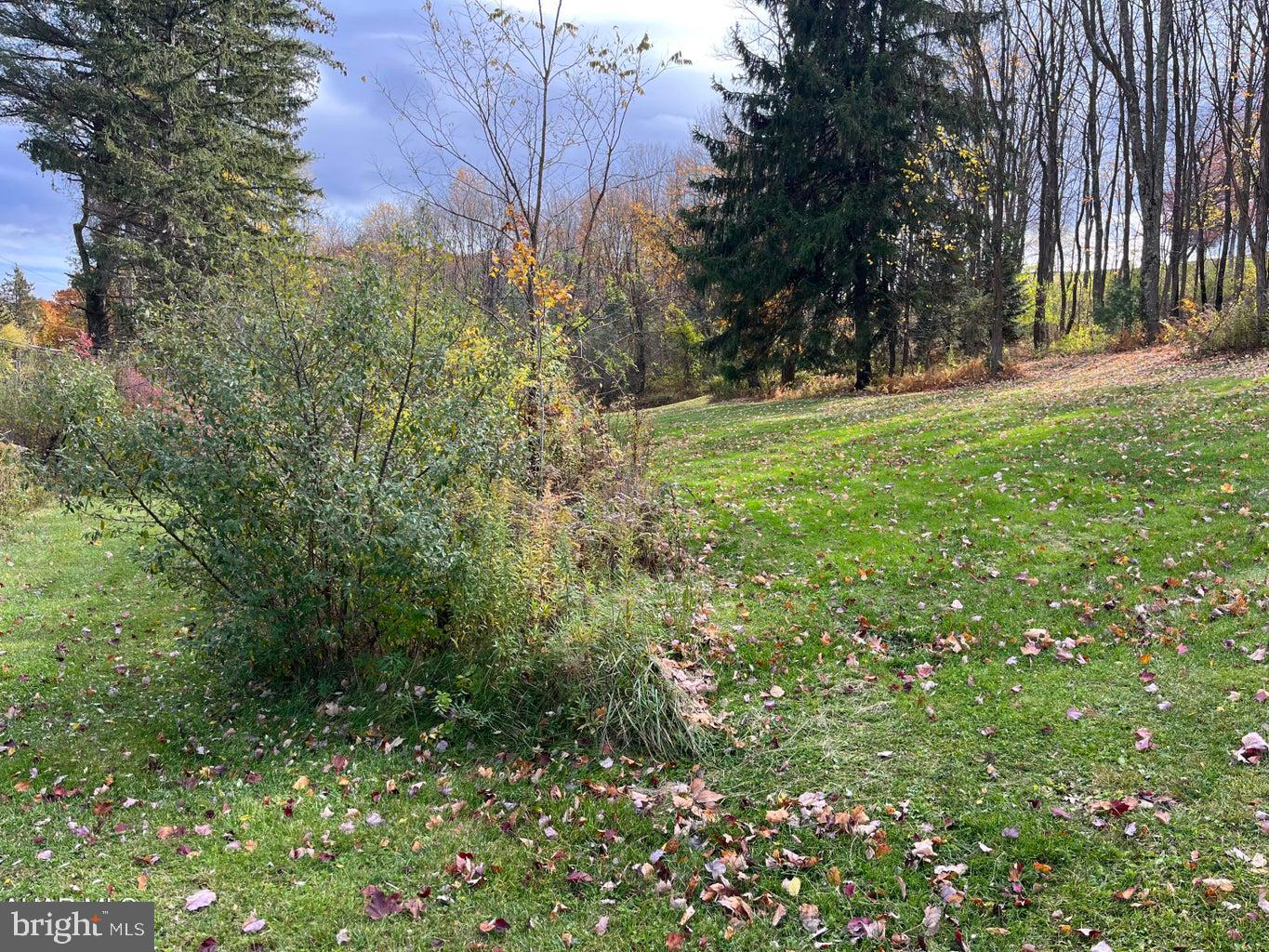 Bel Tip Road Property Photo