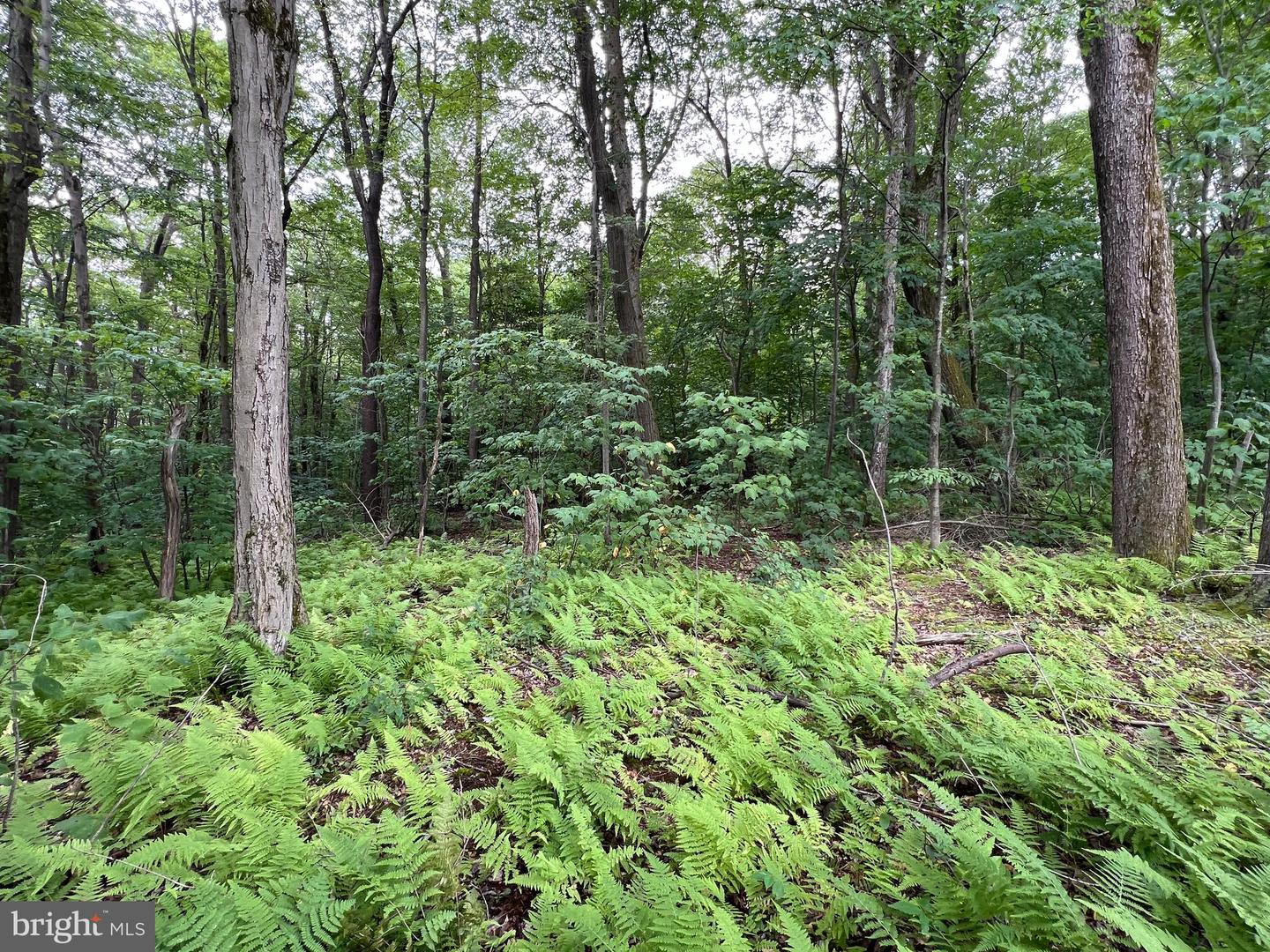 Lot 138 Bellows Way Road Property Photo 1