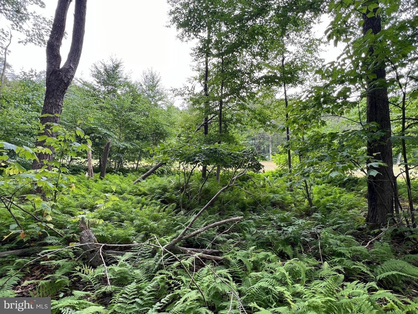 Lot 138 Bellows Way Road Property Photo 3