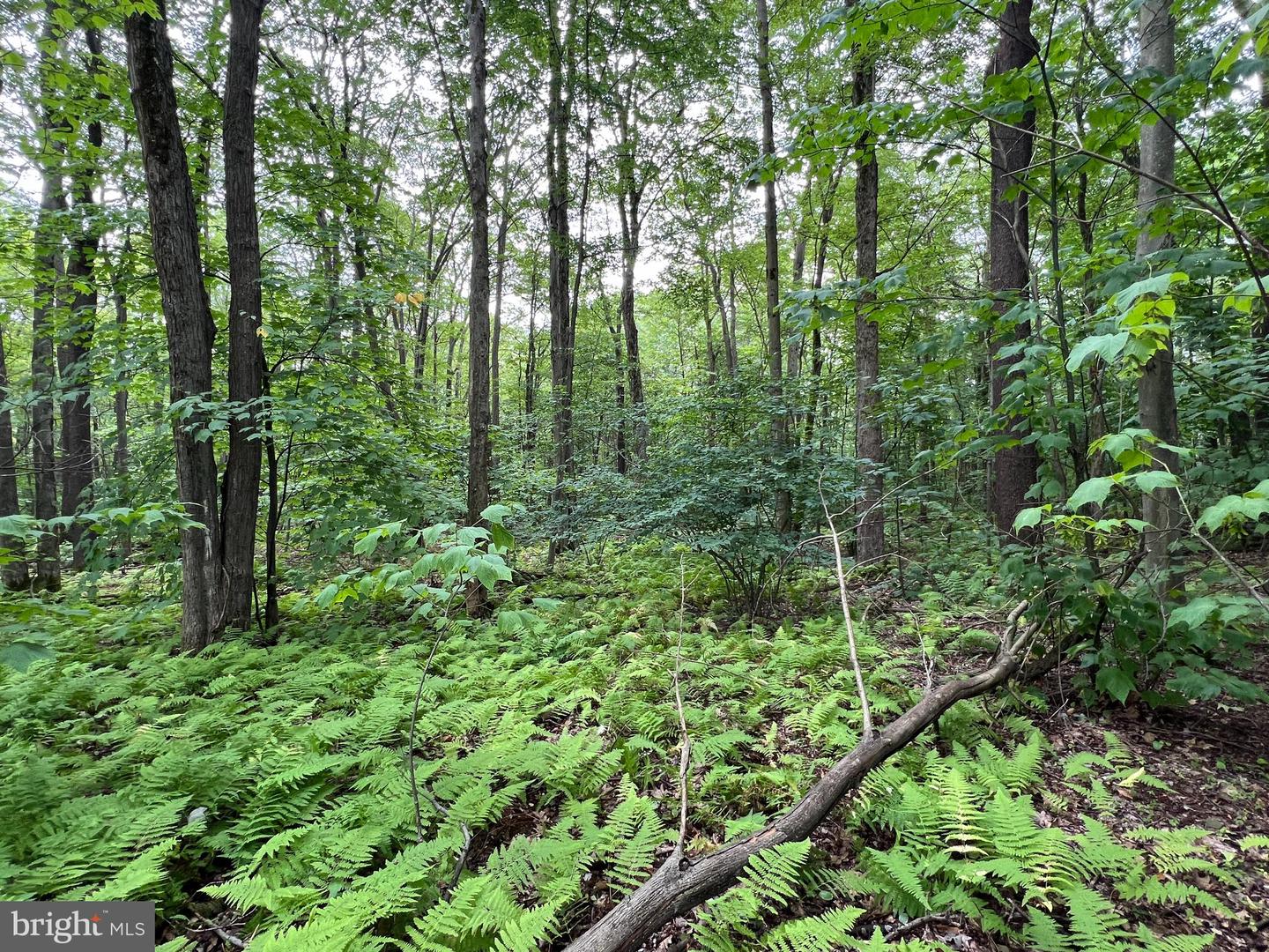 Lot 138 Bellows Way Road Property Photo 4