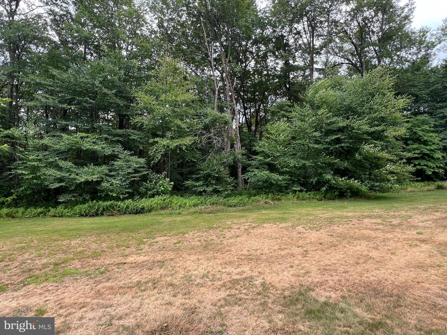 Lot 138 Bellows Way Road Property Photo 7