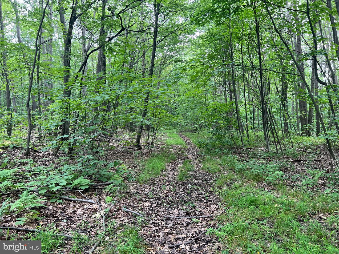 Lot 138 Bellows Way Road Property Photo 8