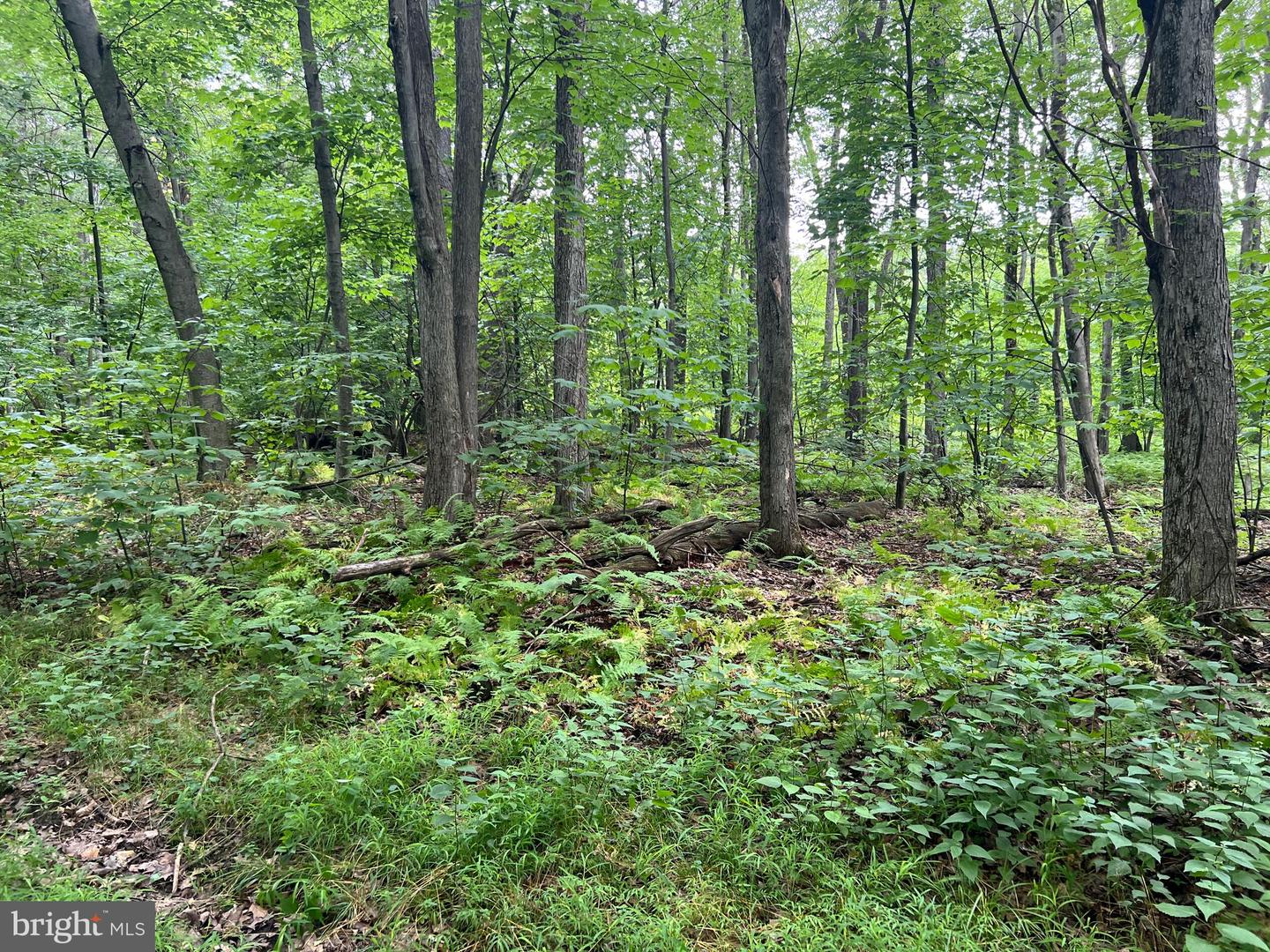 Lot 138 Bellows Way Road Property Photo 10