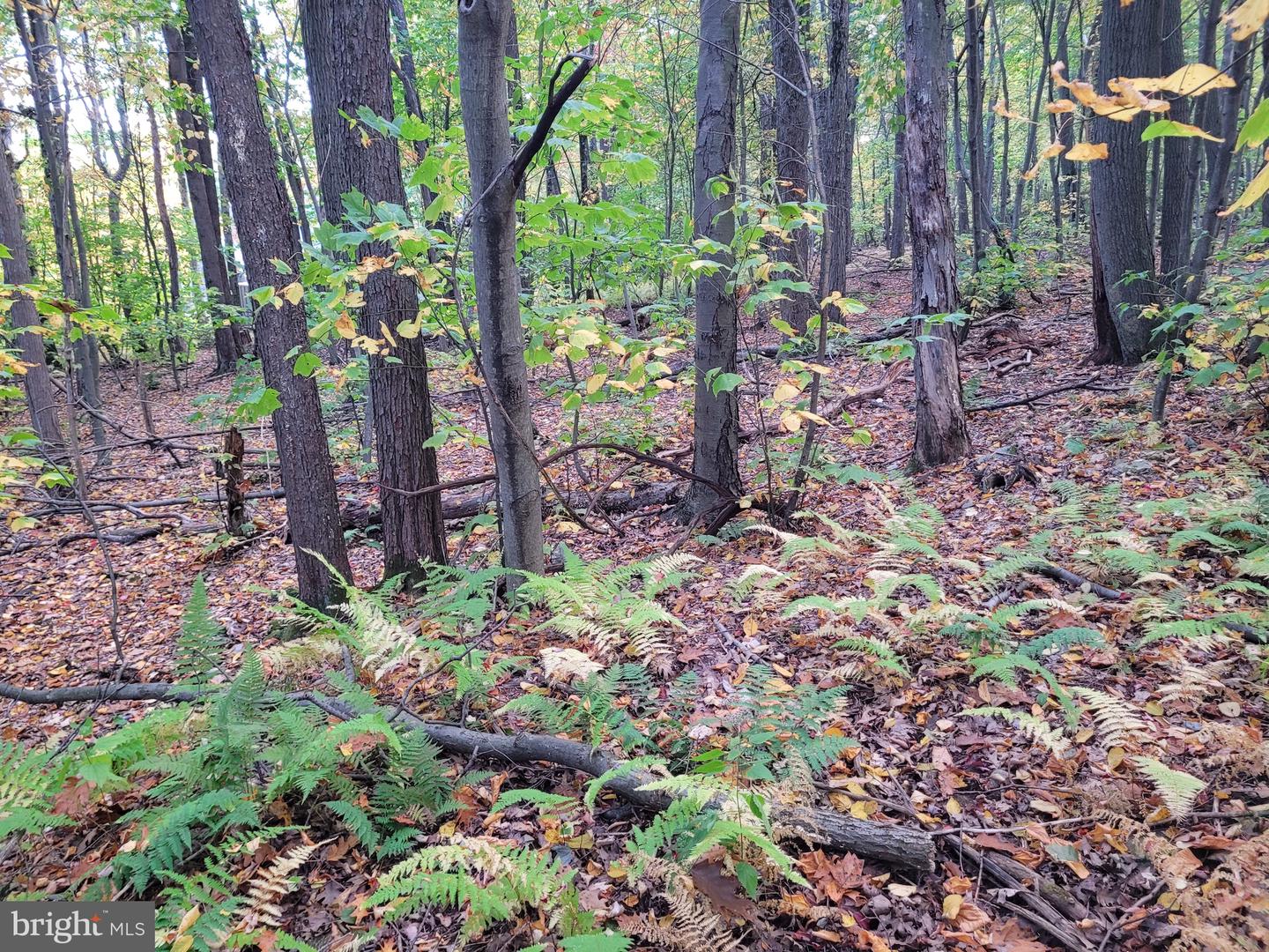 Lot 276 Ironmasters Sandlewood Way Property Photo