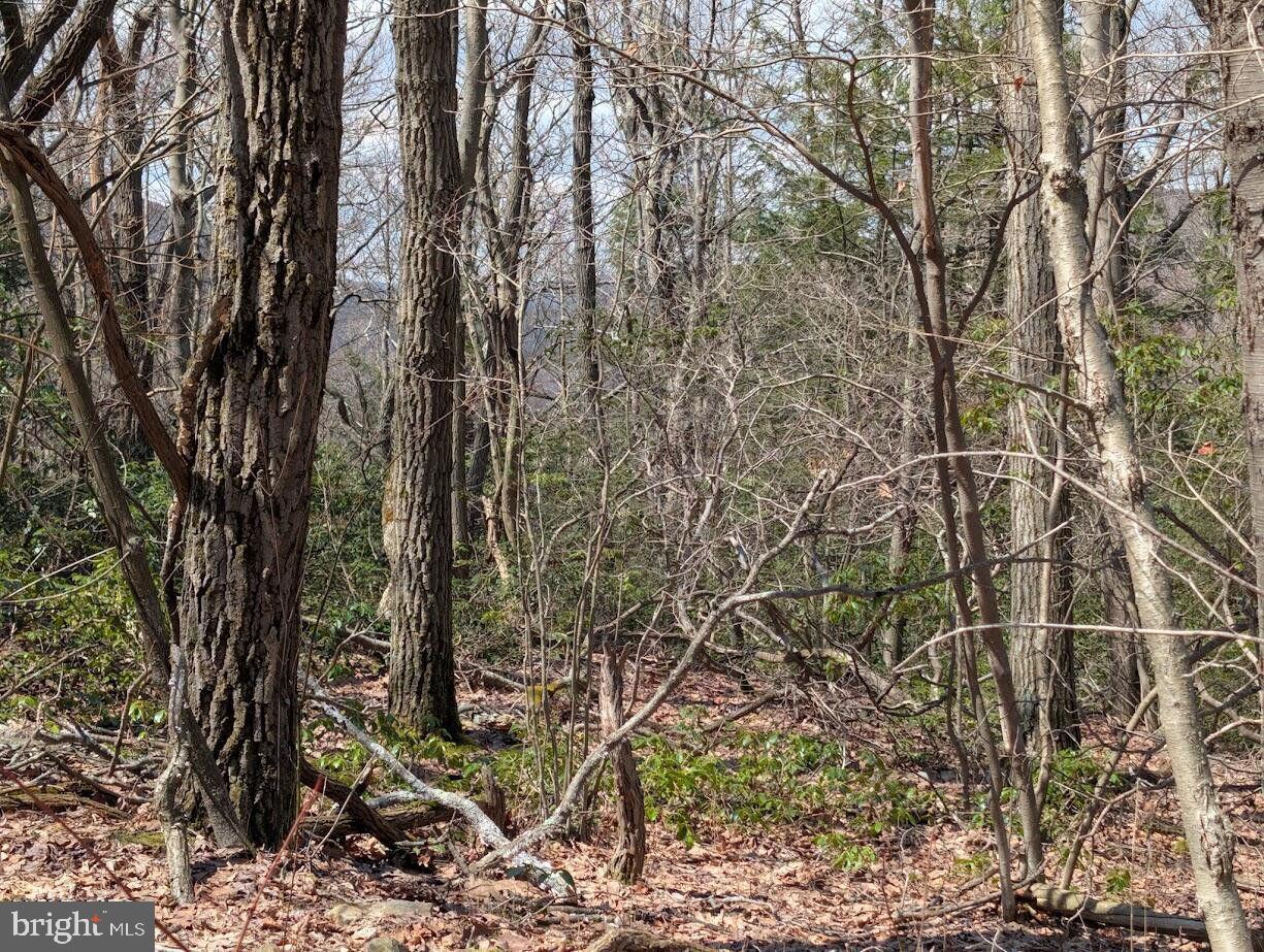 187-188 Ridge Run Pike Property Photo 7