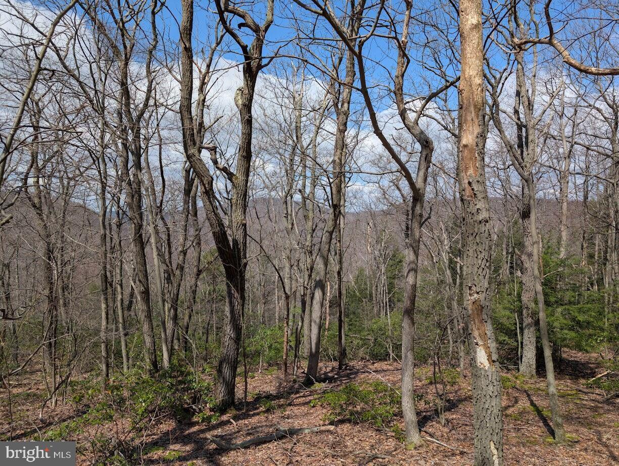 187-188 Ridge Run Pike Property Photo 8