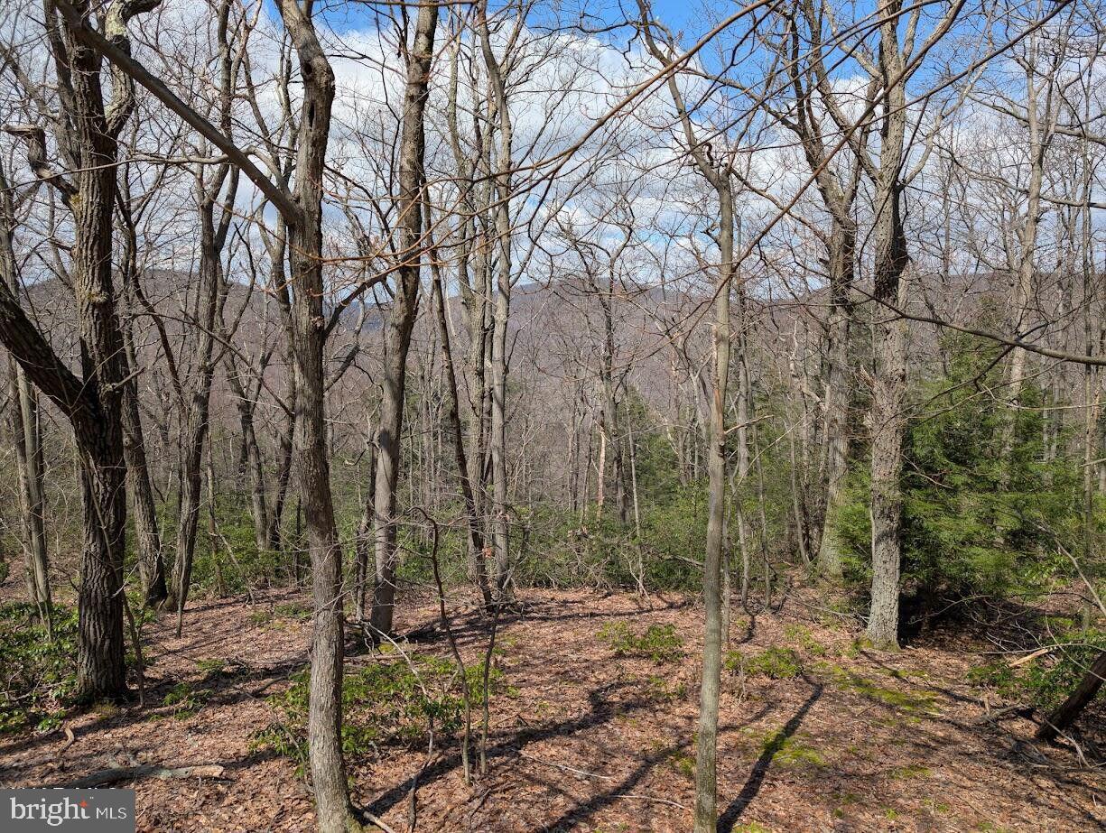 187-188 Ridge Run Pike Property Photo 9