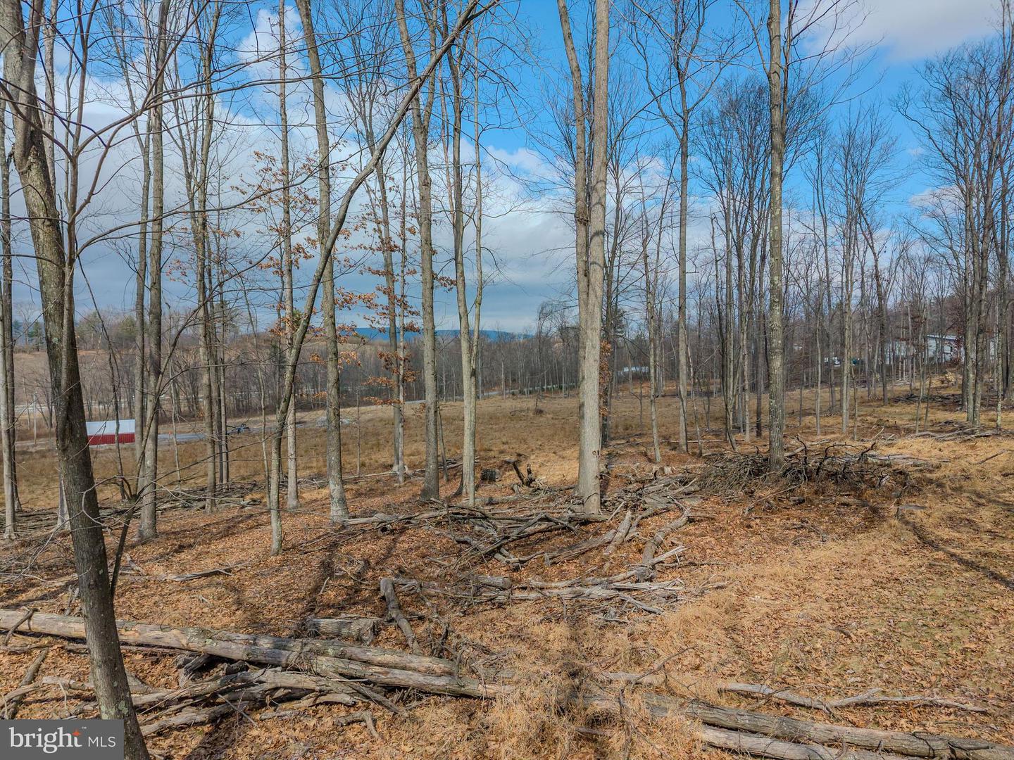 242 Brush Mountain Road Property Photo 8