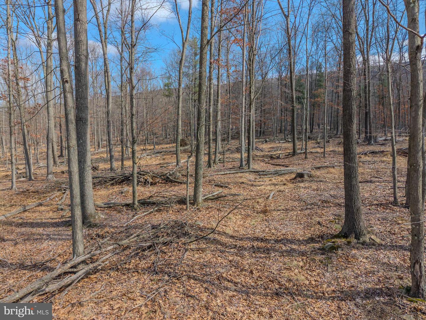 242 Brush Mountain Road Property Photo 9