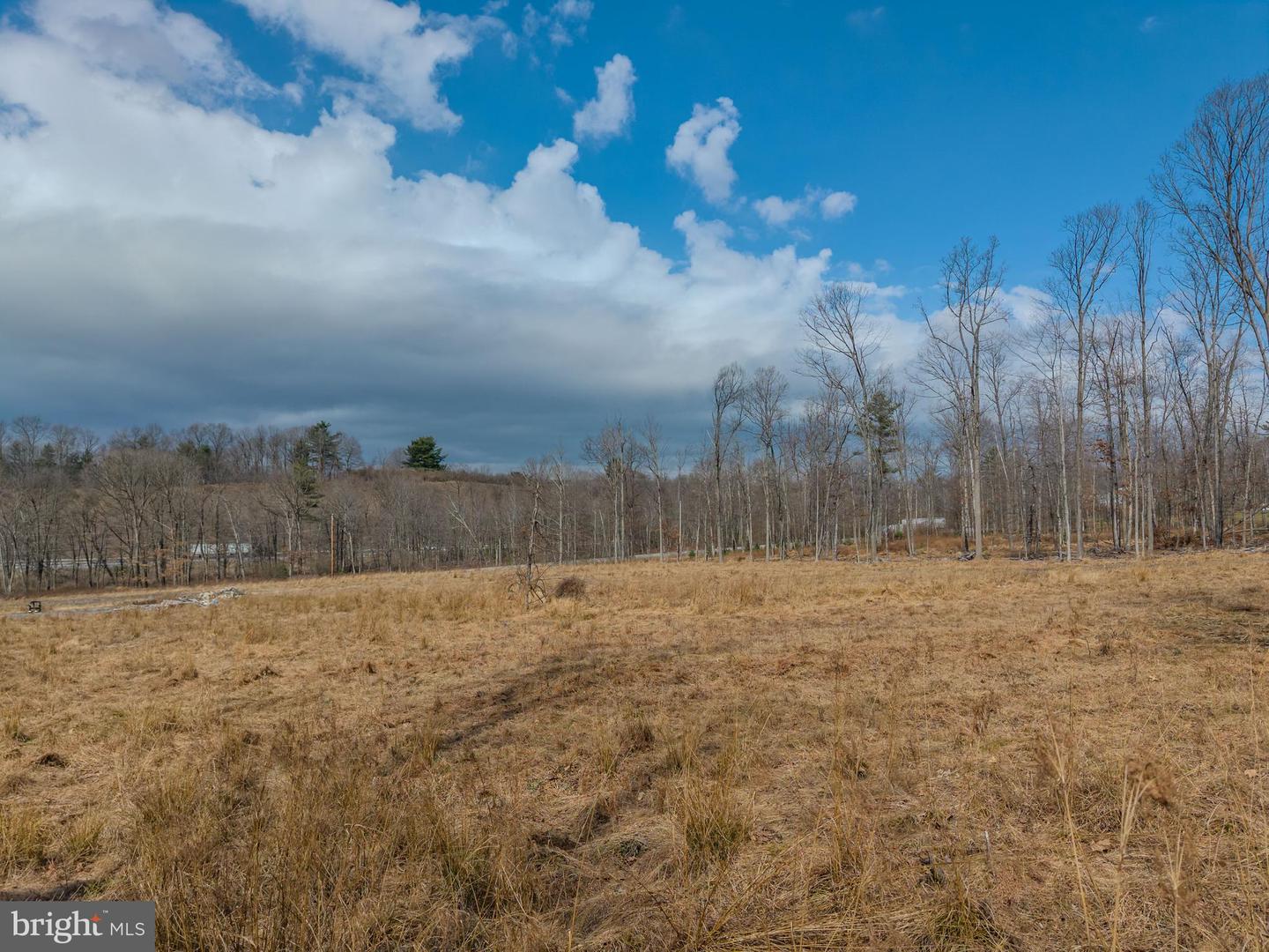 242 Brush Mountain Road Property Photo 12