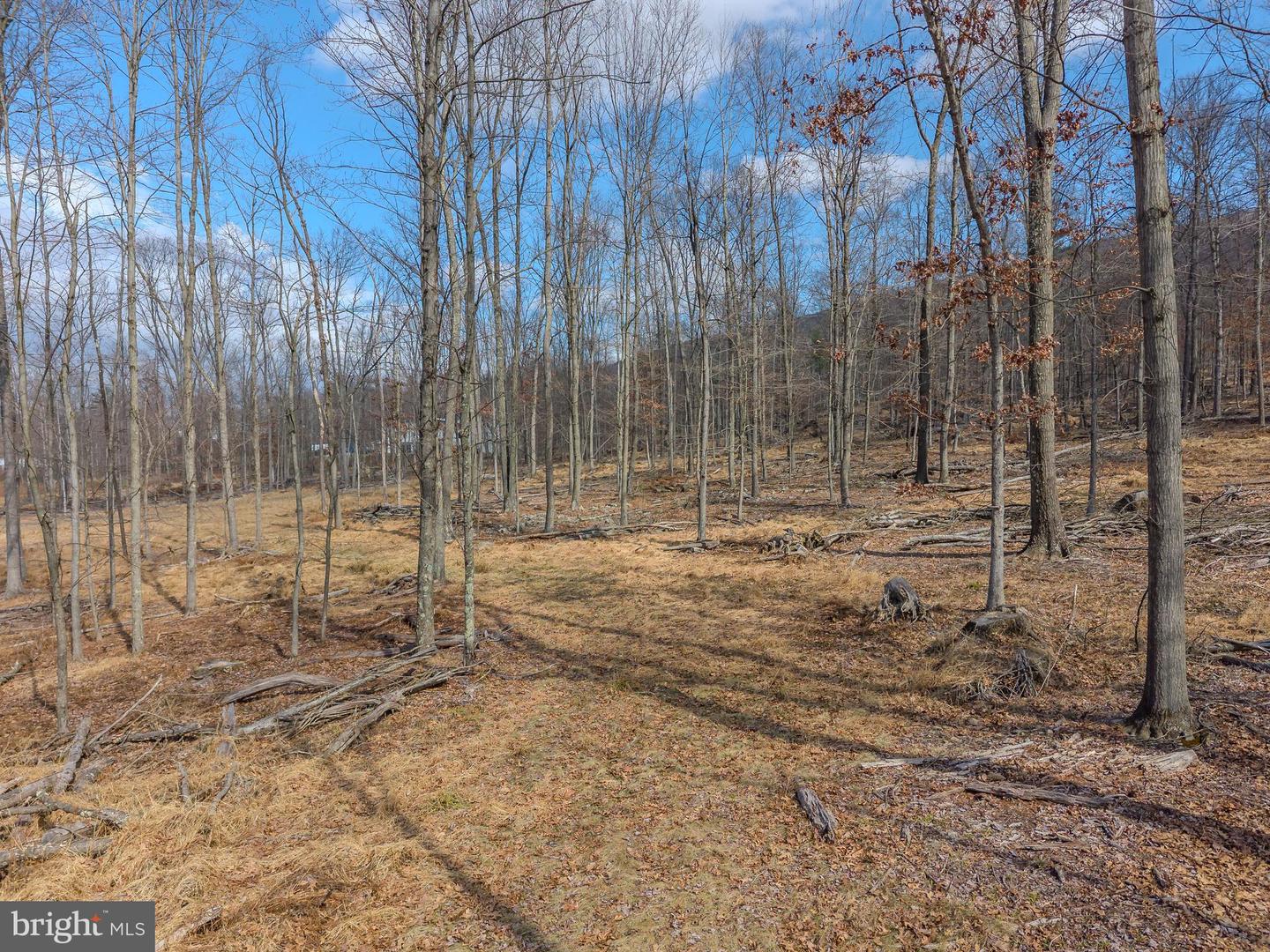 242 Brush Mountain Road Property Photo 13