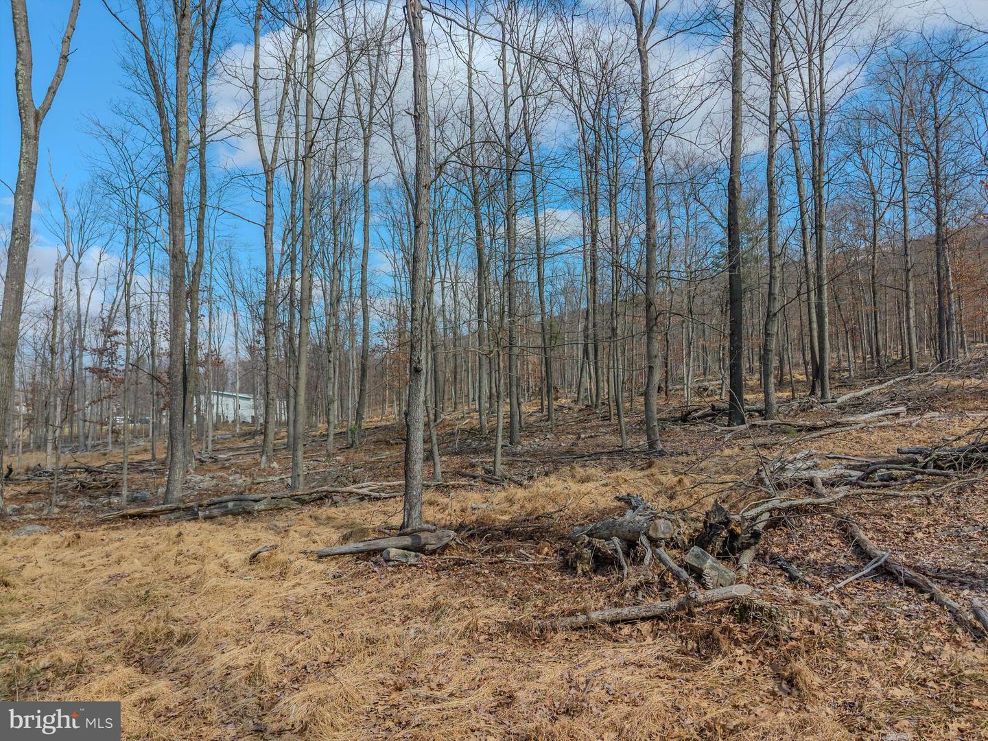 242 Brush Mountain Road Property Photo 16