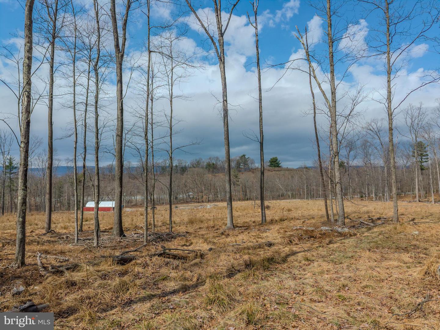 242 Brush Mountain Road Property Photo 17