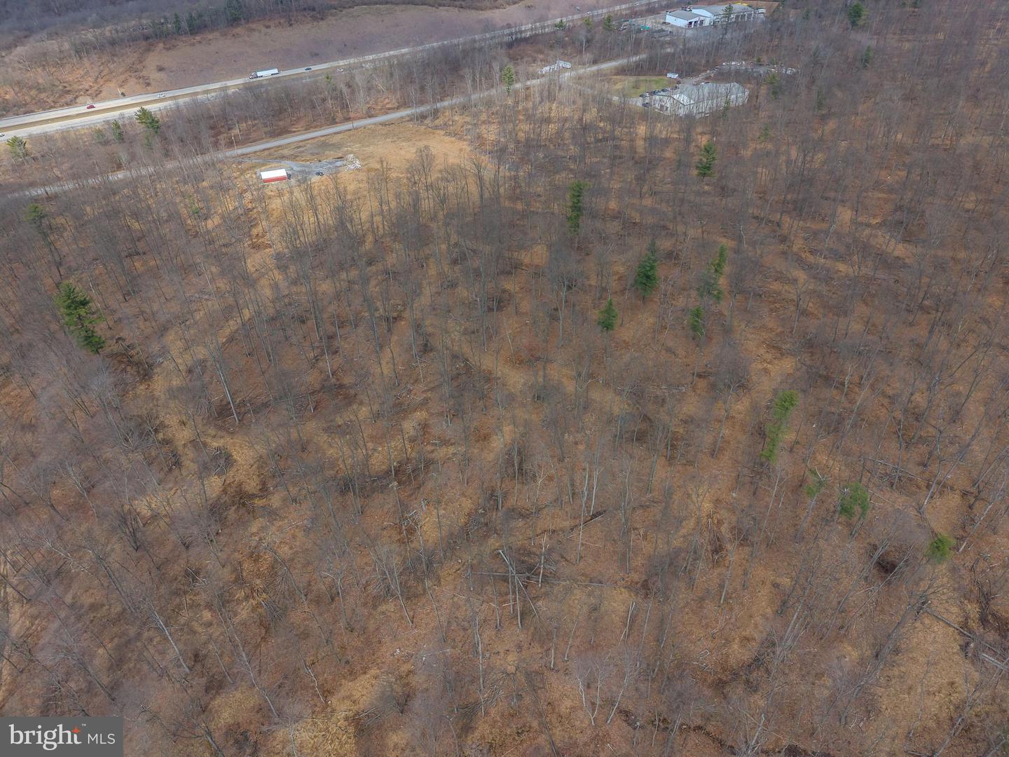 242 Brush Mountain Road Property Photo 18