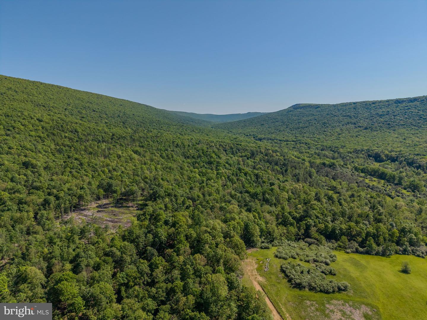 4503 Scotch Valley Rd Property Photo 13