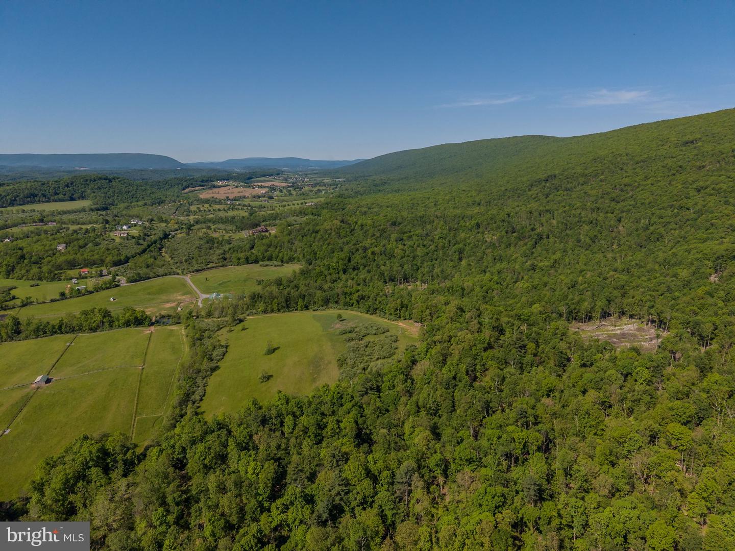 4503 Scotch Valley Rd Property Photo 14
