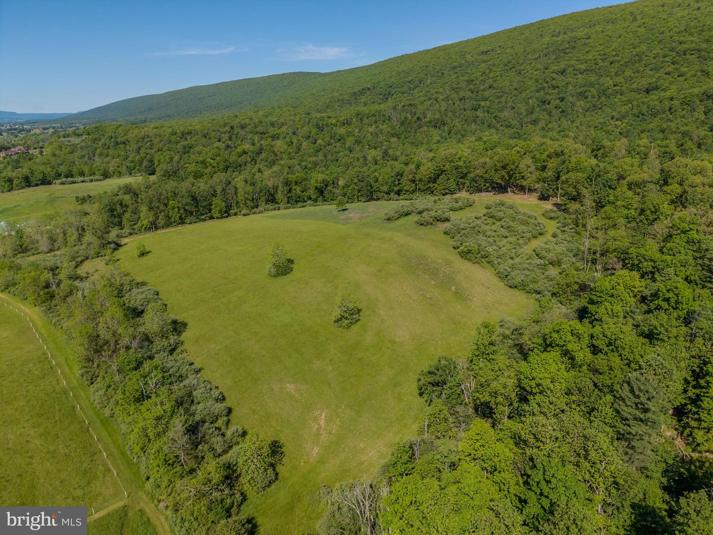4503 Scotch Valley Rd Property Photo 15
