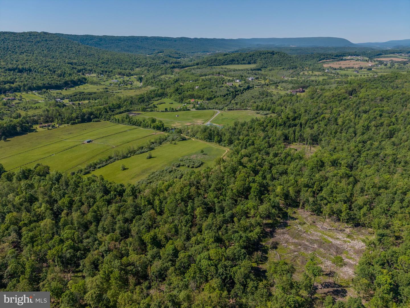 4503 Scotch Valley Rd Property Photo 16