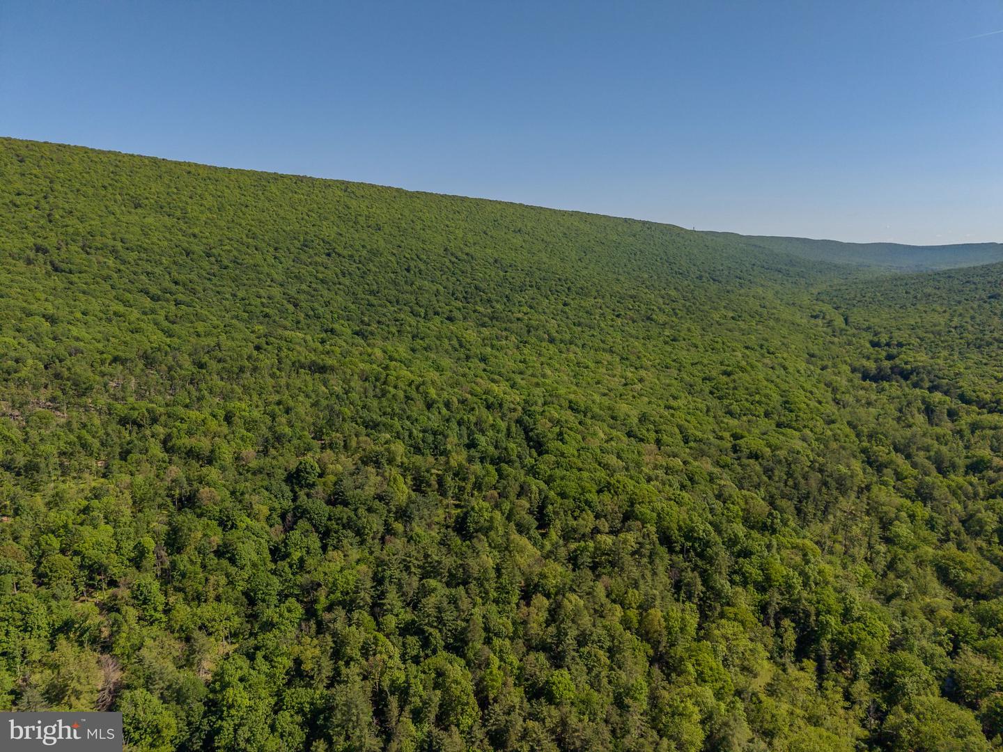 4503 Scotch Valley Rd Property Photo 17