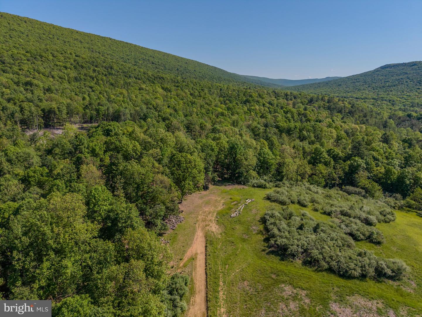 4503 Scotch Valley Rd Property Photo 18
