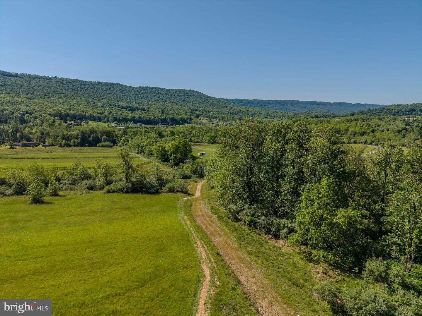 4503 Scotch Valley Rd Property Photo 19