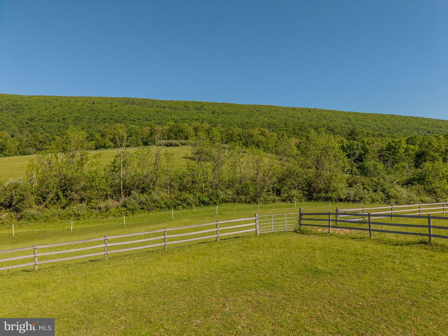 4503 Scotch Valley Rd Property Photo 28