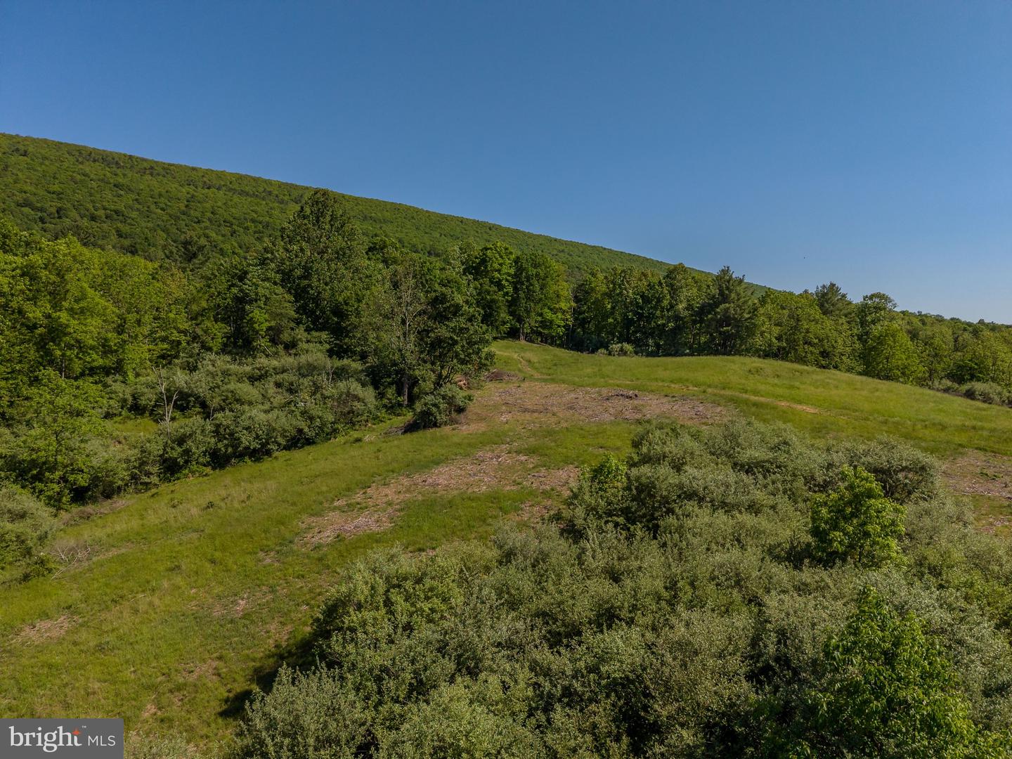 4503 Scotch Valley Rd Property Photo 29