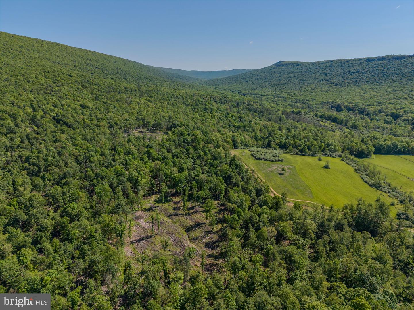 4503 Scotch Valley Rd Property Photo 32