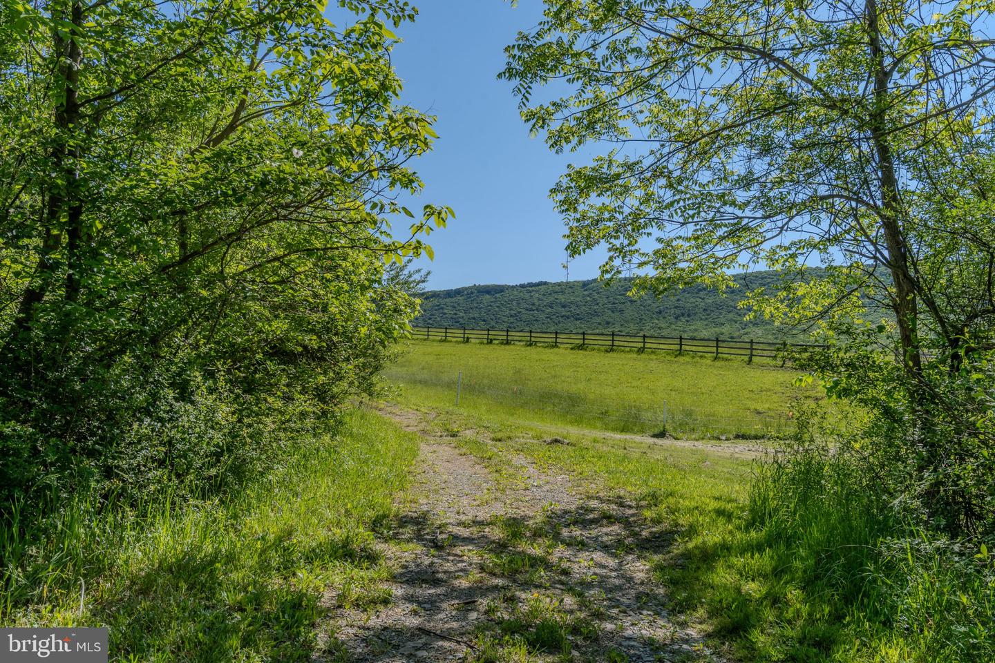 4503 Scotch Valley Rd Property Photo 34