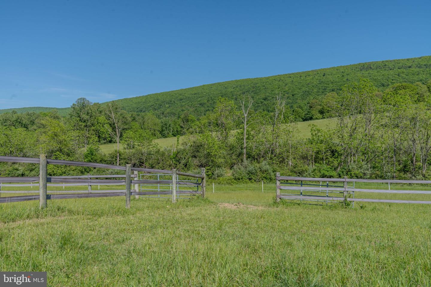 4503 Scotch Valley Rd Property Photo 36