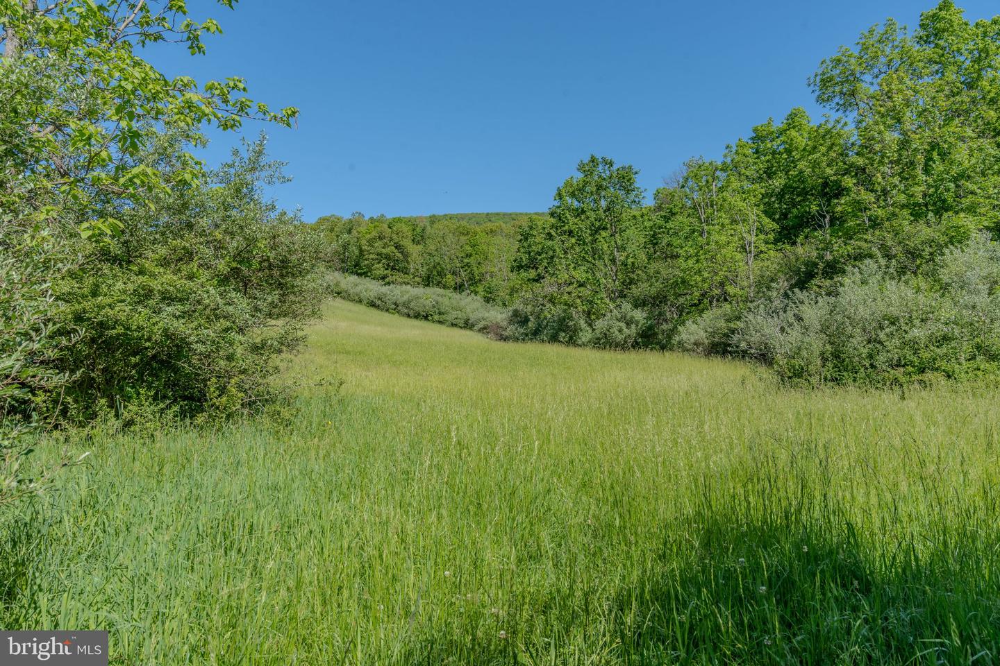 4503 Scotch Valley Rd Property Photo 37