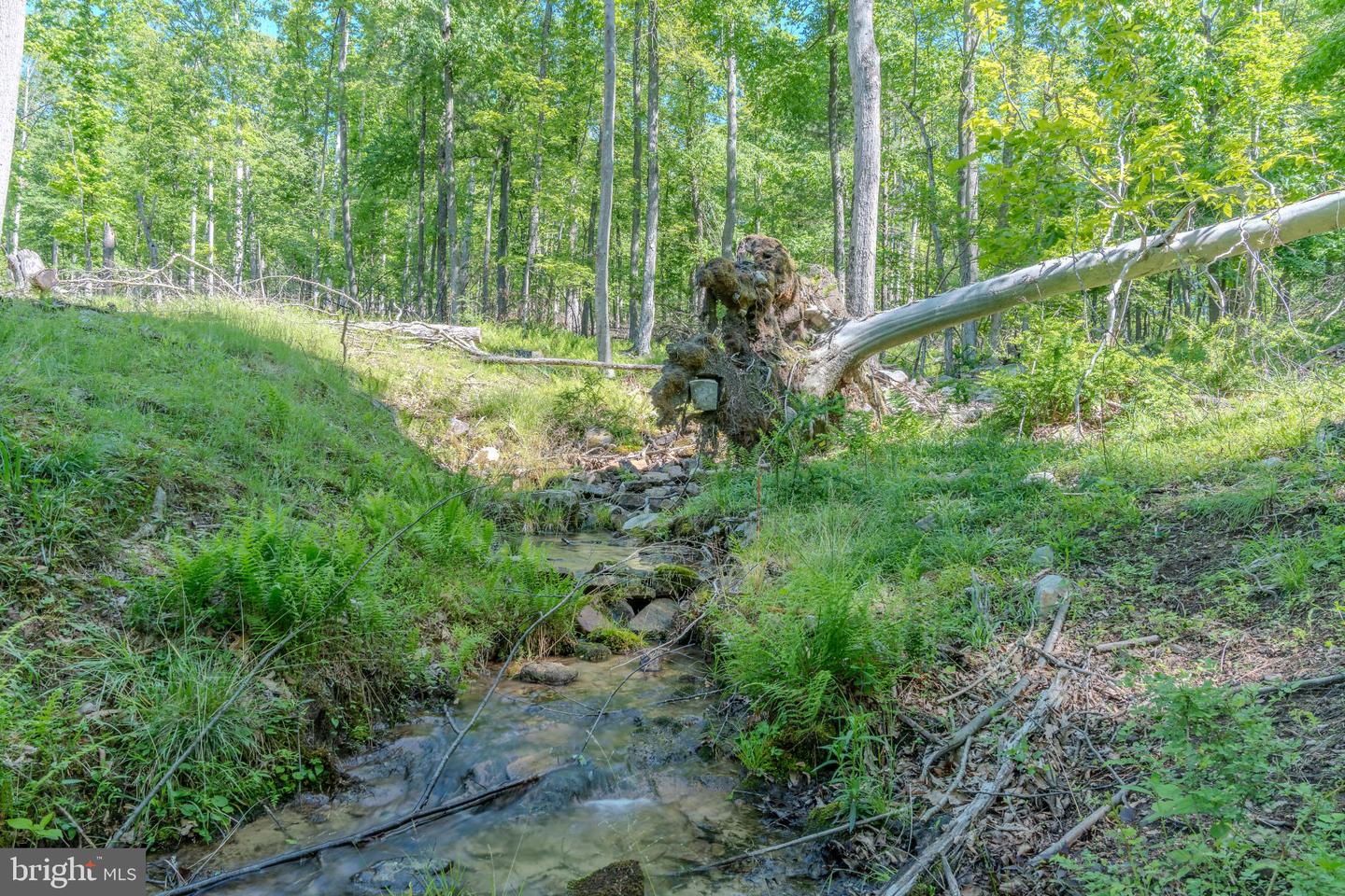 4503 Scotch Valley Rd Property Photo 38