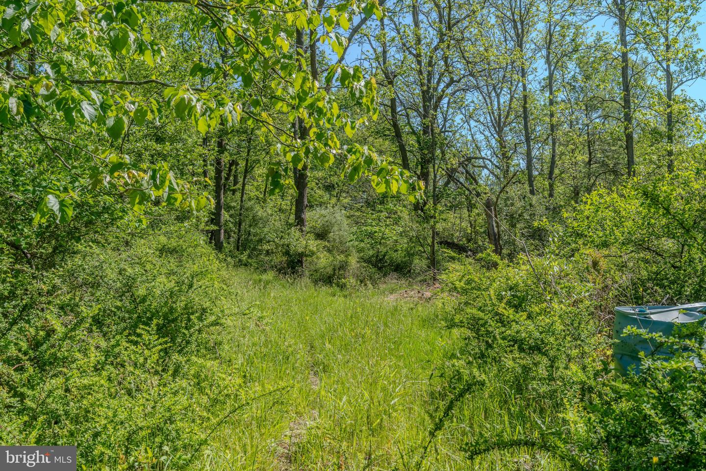 4503 Scotch Valley Rd Property Photo 39
