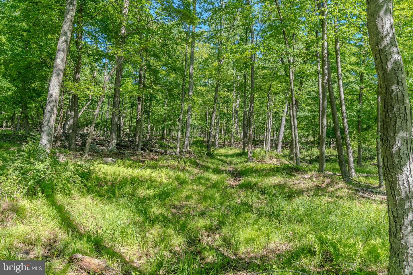 4503 Scotch Valley Rd Property Photo 40