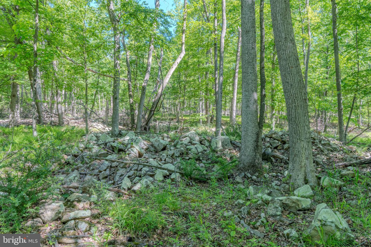 4503 Scotch Valley Rd Property Photo 41
