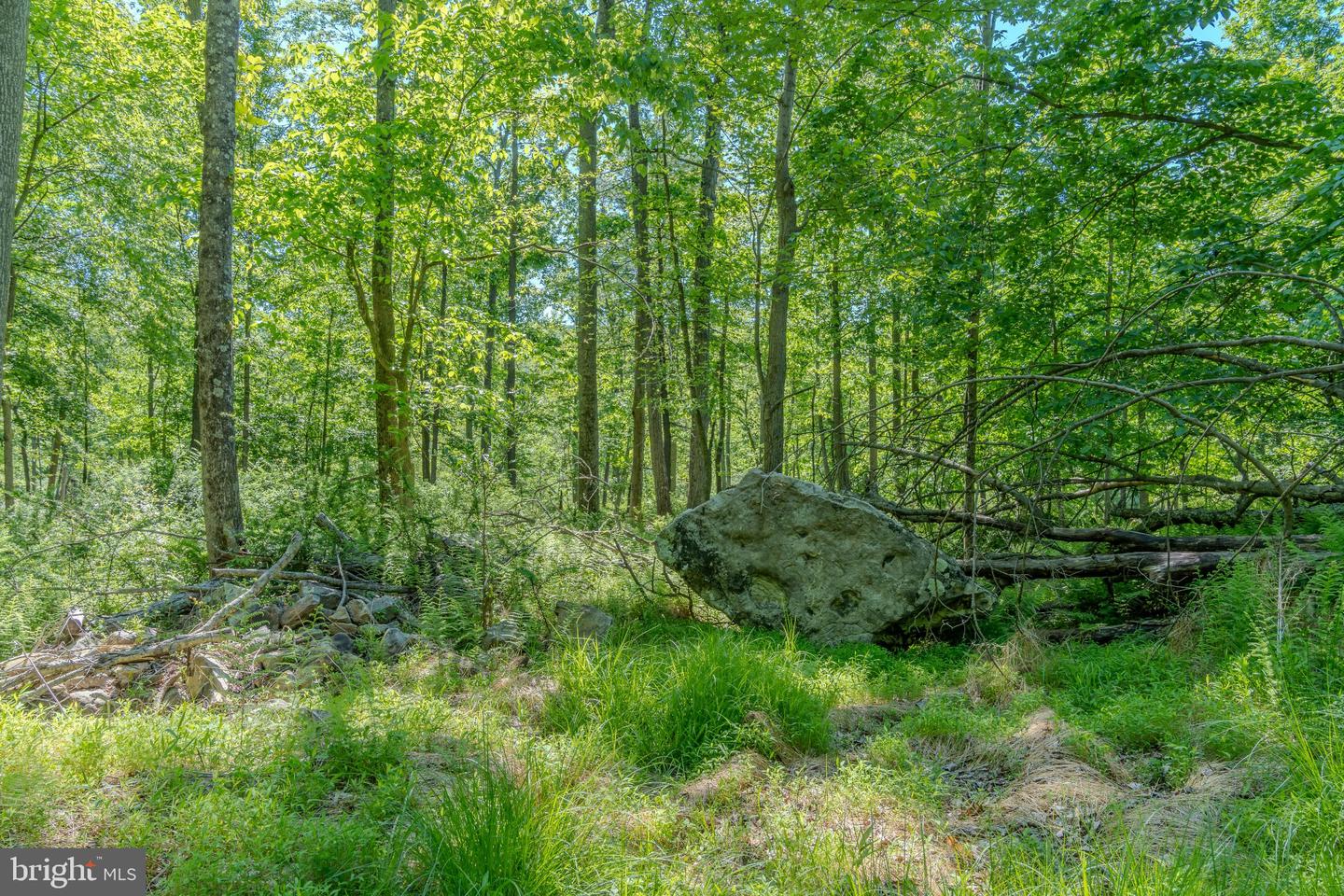 4503 Scotch Valley Rd Property Photo 42