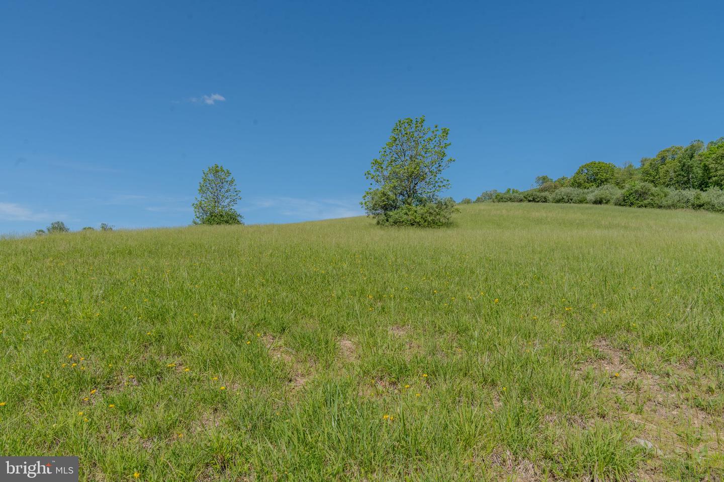 4503 Scotch Valley Rd Property Photo 43