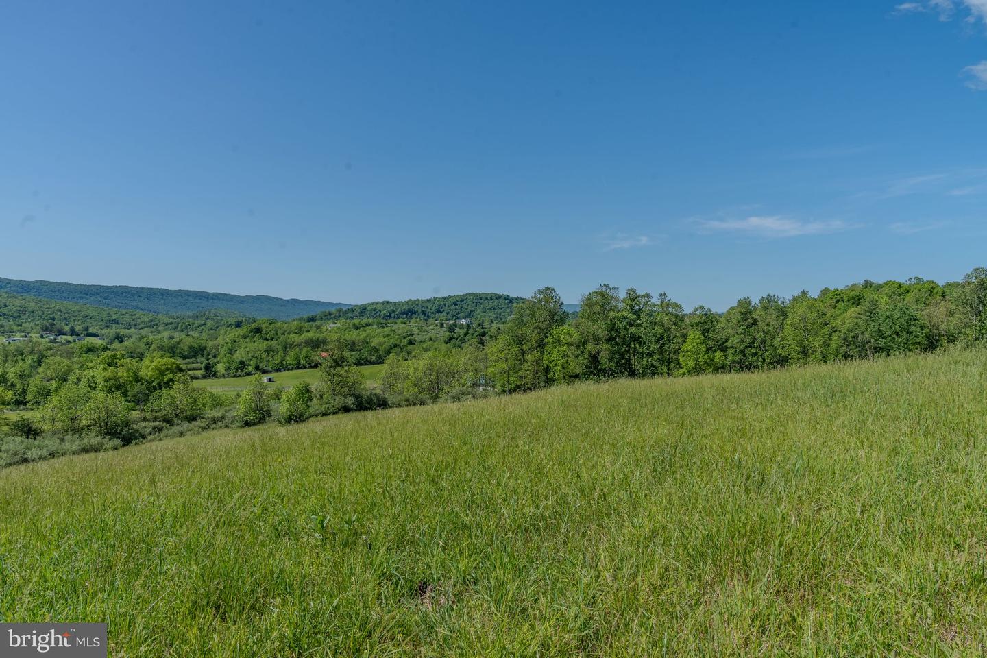 4503 Scotch Valley Rd Property Photo 44