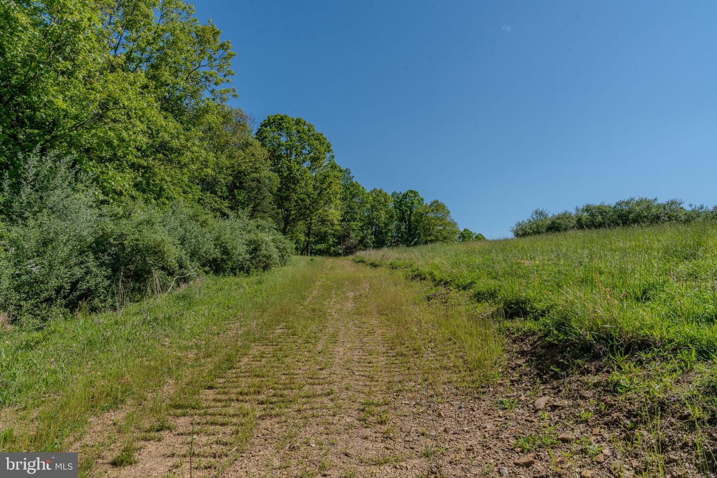 4503 Scotch Valley Rd Property Photo 45