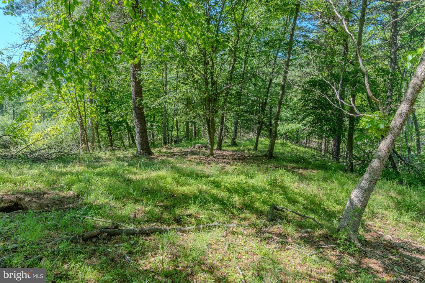 4503 Scotch Valley Rd Property Photo 46