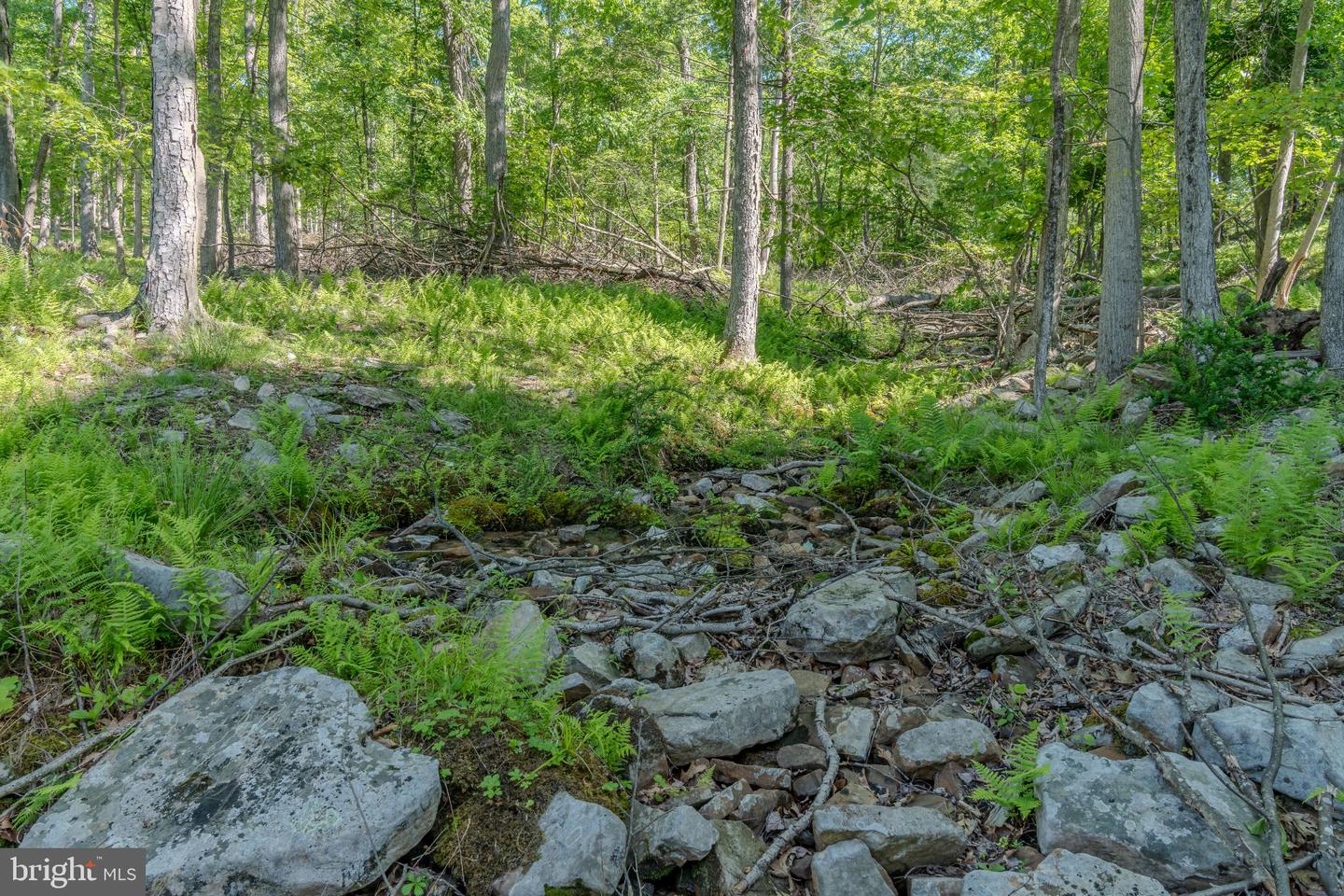 4503 Scotch Valley Rd Property Photo 47