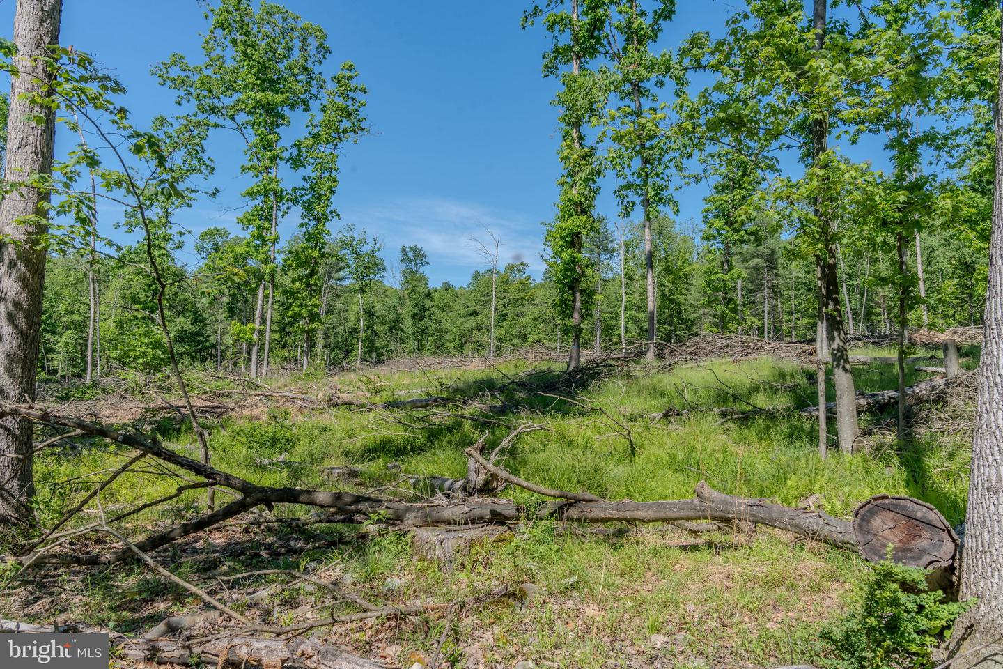 4503 Scotch Valley Rd Property Photo 48