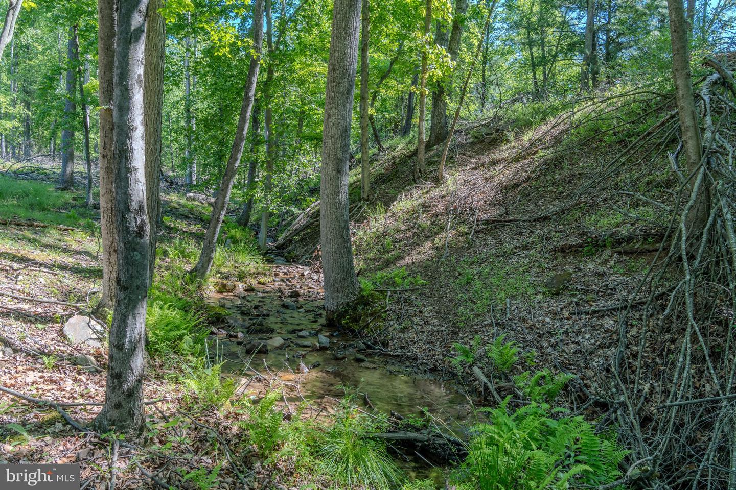 4503 Scotch Valley Rd Property Photo 49