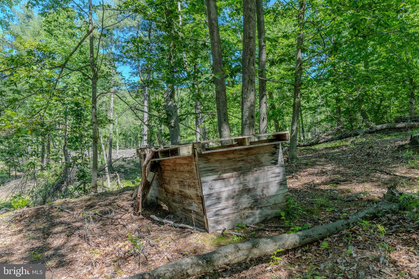 4503 Scotch Valley Rd Property Photo 50