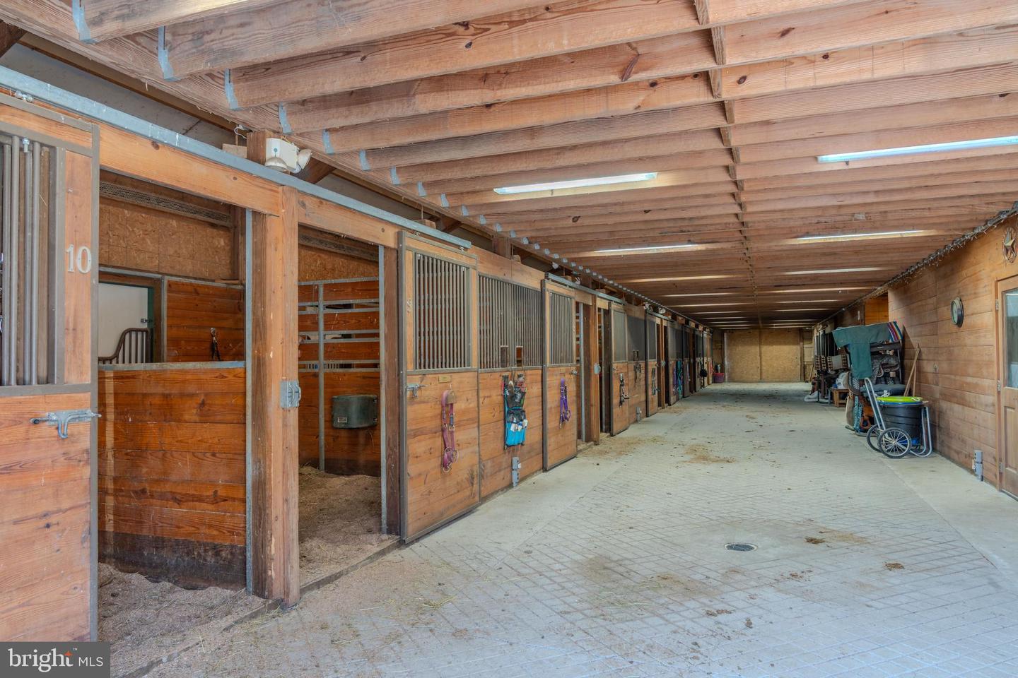 4503 Scotch Valley Rd Property Photo 64