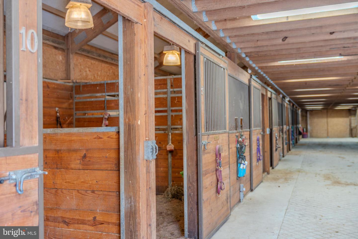 4503 Scotch Valley Rd Property Photo 65