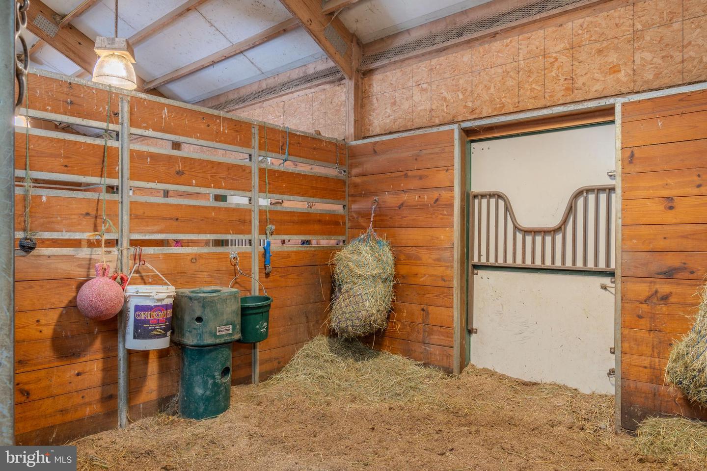 4503 Scotch Valley Rd Property Photo 68
