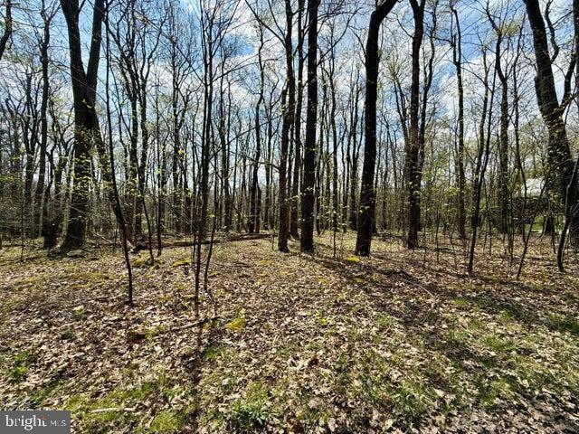 Lot 13 Timerman Rd Property Photo 1