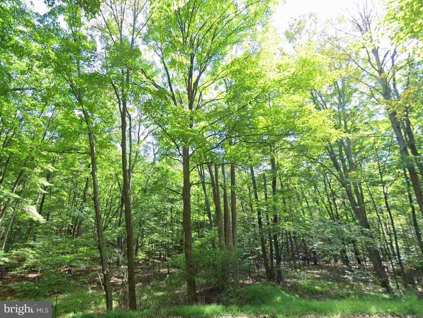 00 Juniata Valley Property Photo 1