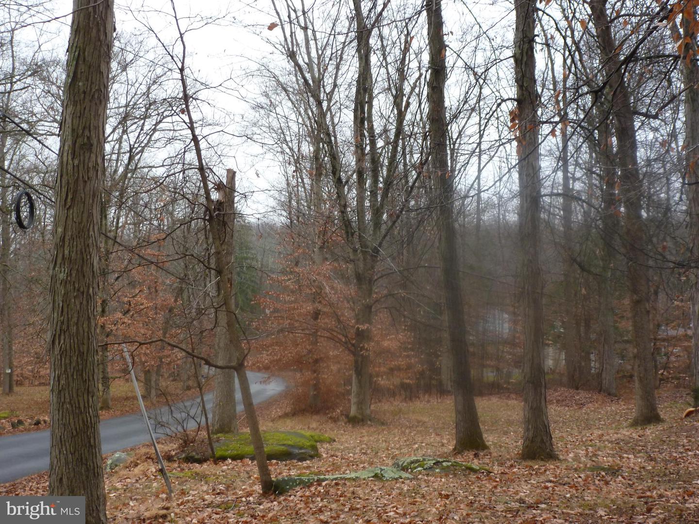 4503 Axe Handle Rd Property Photo 2